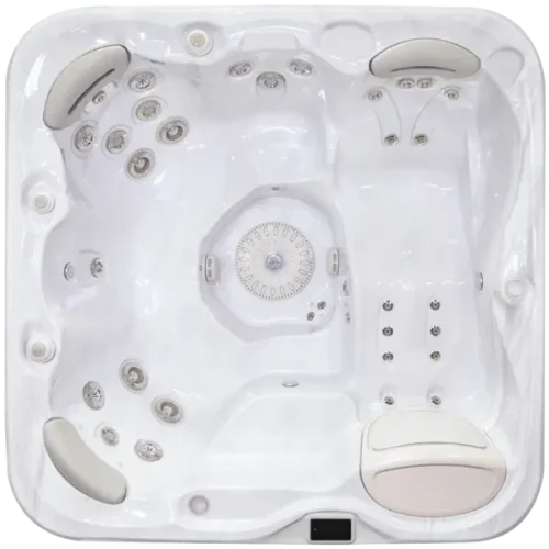 Signature Self-Cleaning 579 - Ellips Pool